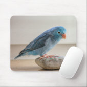 Tapis De Souris Oiseau Bleu (Avec souris)