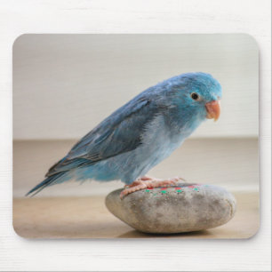 Tapis De Souris Oiseau Bleu