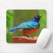 Tapis De Souris Oiseau bleu Mousepad (Avec souris)