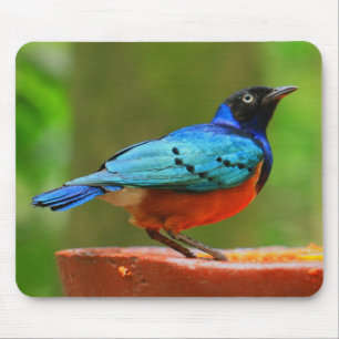 Tapis De Souris Oiseau bleu Mousepad
