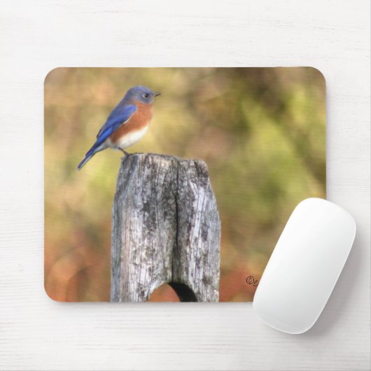 Tapis De Souris Oiseau bleu Mousepad (Avec souris)