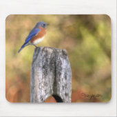 Tapis De Souris Oiseau bleu Mousepad (Devant)
