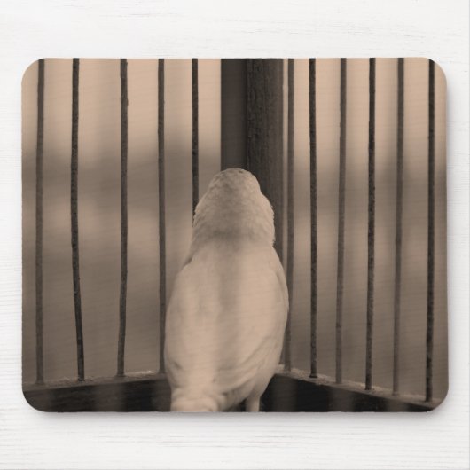 Tapis De Souris Oiseau, Cage, bars (Devant)