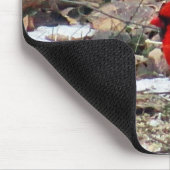 Tapis De Souris Oiseau cardinal rouge dans le feuille (Coin)