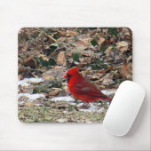 Tapis De Souris Oiseau cardinal rouge dans le feuille (Avec souris)