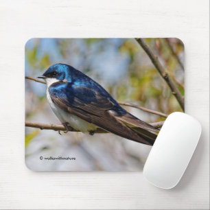 Tapis De Souris Oiseau chanteur Hirondelle bicolore époustouflant