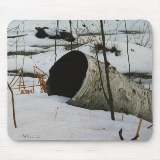 Tapis De Souris Oiseau creux (Devant)