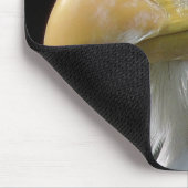 TAPIS DE SOURIS OISEAU D'AGLE (Coin)