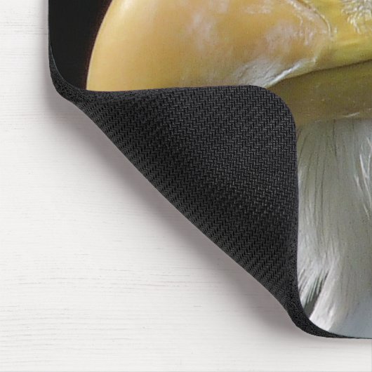 TAPIS DE SOURIS OISEAU D'AGLE (Coin)