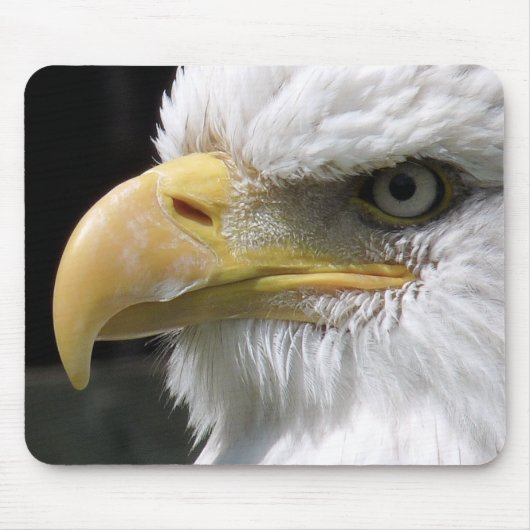 TAPIS DE SOURIS OISEAU D'AGLE (Devant)