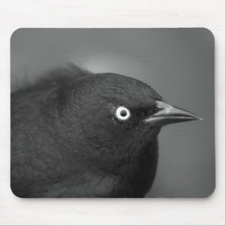 Tapis De Souris Oiseau d'Alfred Hitchcock