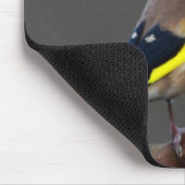 Tapis De Souris Oiseau de chardonneret (Coin)