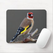 Tapis De Souris Oiseau de chardonneret (Avec souris)