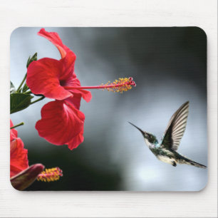 Tapis De Souris Oiseau de Humming et Fleur rouge