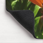 Tapis De Souris Oiseau de paradis (Coin)