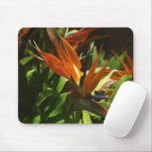 Tapis De Souris Oiseau de paradis (Avec souris)