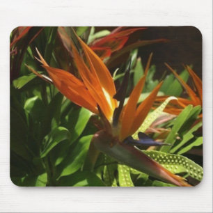 Tapis De Souris Oiseau de paradis