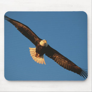 Tapis De Souris Oiseau de proie, aigle à tête blanche en vol, Kach