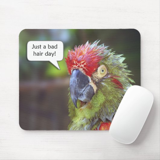 Tapis De Souris Oiseau drôle Mousepad (Avec souris)
