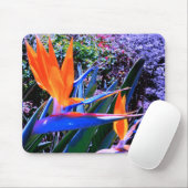 Tapis De Souris Oiseau du Paradis Hawaï (Avec souris)