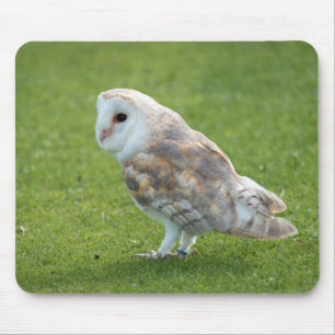 Tapis De Souris oiseau, hibou, chouette de grange