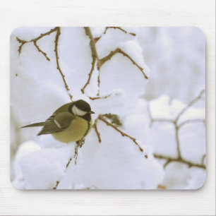 Tapis De Souris Oiseau jaune dans la neige Photo Mousepad