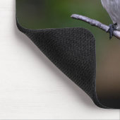 Tapis De Souris oiseau, mésange à queue longue, animal (Coin)
