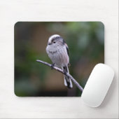 Tapis De Souris oiseau, mésange à queue longue, animal (Avec souris)