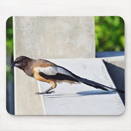 Tapis De Souris Oiseau mignon (Devant)