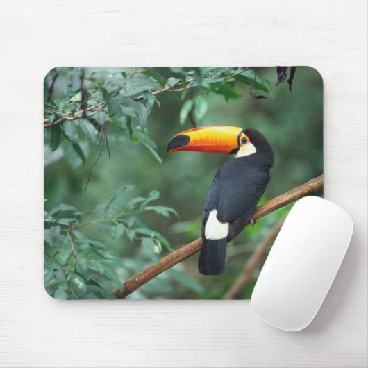 Tapis De Souris Oiseau Mousepad de toucan de Toco (Avec souris)
