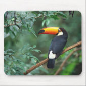 Tapis De Souris Oiseau Mousepad de toucan de Toco (Devant)