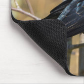 Tapis De Souris Oiseau noir à ailes rouges (Coin)