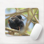 Tapis De Souris Oiseau noir ailé orange (Avec souris)