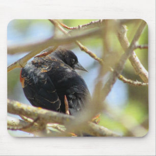 Tapis De Souris Oiseau noir ailé orange