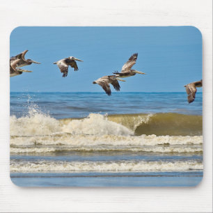 Tapis De Souris Oiseau, pélican brun, faune
