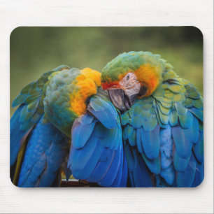 Tapis De Souris oiseau, perroquet, animal