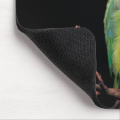 Tapis De Souris Oiseau, perroquet, perroquet (Coin)
