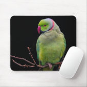 Tapis De Souris Oiseau, perroquet, perroquet (Avec souris)
