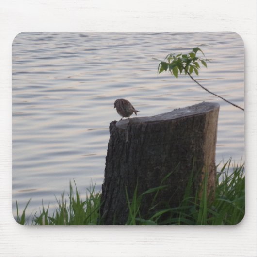 Tapis de souris Oiseau sur une souche (Devant)