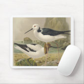 Tapis De Souris Oiseaux (Avec souris)