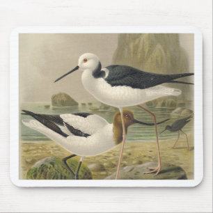 Tapis De Souris Oiseaux