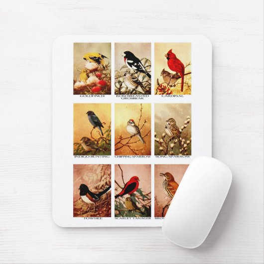 Tapis De Souris Oiseaux (Avec souris)