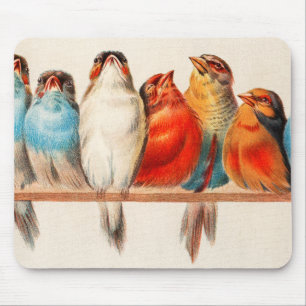 Tapis De Souris Oiseaux Assis joliment et calme