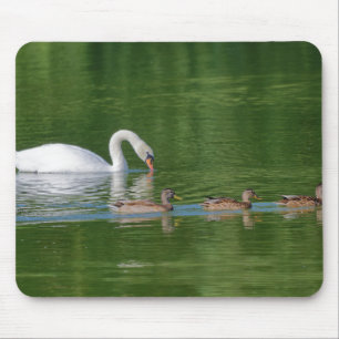 Tapis De Souris Oiseaux, Cygnes, Cygnets