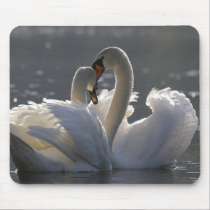 Tapis De Souris oiseaux, cygnes, ornithologie