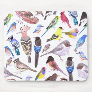Tapis De Souris Oiseaux d'Amérique - animaux domestiques et oiseau