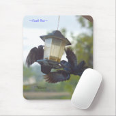 Tapis De Souris Oiseaux de crapaud Mousepad (Avec souris)
