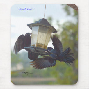 Tapis De Souris Oiseaux de crapaud Mousepad