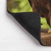 Tapis De Souris Oiseaux de proie (Coin)