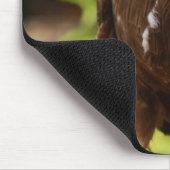 Tapis De Souris Oiseaux de proie (Coin)